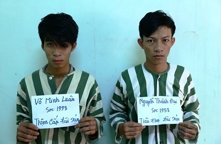 CSGT bắt giữ