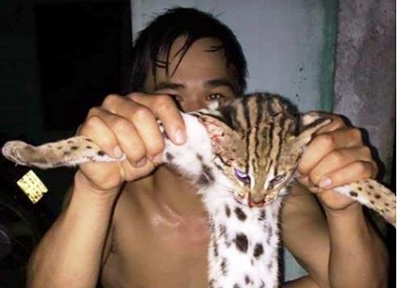 Tin tức thời sự 24h mới nhất ngày 20/11