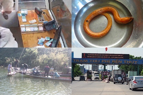 Tin tức thời sự 24h mới nhất ngày 24/11