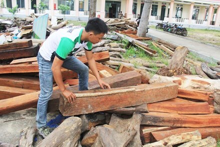 Bị tịch thu gỗ, 