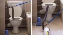 “Chiêu hàng” rắn hổ mang nấp trong bồn cầu nhà dân