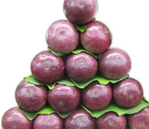 Vài mẹo chọn vú sữa ngon bà nội trợ nên biết