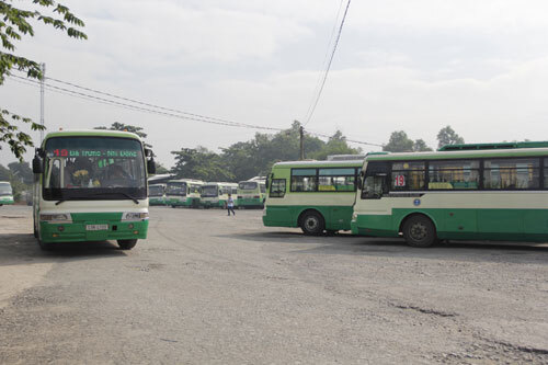 TP HCM tăng hơn 1.000 chuyến xe bus phục vụ người dân dịp Tết Dương lịch