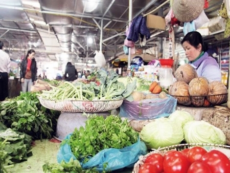 Tăng cường đảm bảo an toàn thực phẩm và phòng tránh dịch bệnh dịp Tết 2017