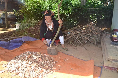 Khám phá bài thuốc dứt ngay bệnh trĩ của nữ cán bộ huyện vùng cao