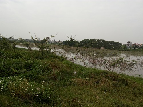 Thanh Hóa: Công ty AMC Toàn Cầu thất hứa, dân “dài cổ” chờ đền bù