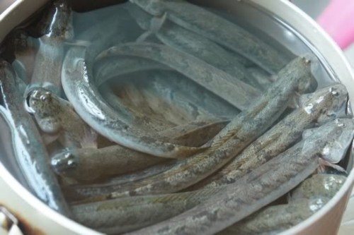 Mách bạn cách làm sạch cá kèo chuẩn nhất