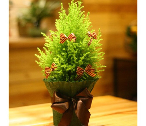 Ý tưởng tặng quà Noel độc đáo cho bạn gái