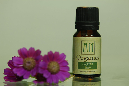 Cách dùng dầu tràm an toàn – hiệu quả