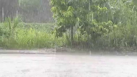 Dự báo thời tiết hôm nay 19/12: Mưa rào ở Tây Nguyên