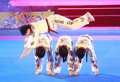 20 năm Taekwondo Việt Nam: Hành trình mang đậm khí phách Việt Nam