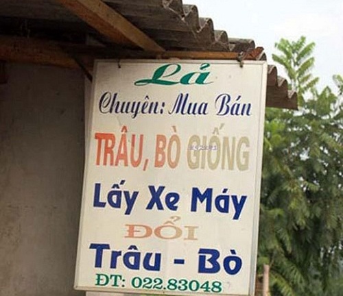 Bật cười với những tấm biển quảng cáo “Made in Việt Nam”