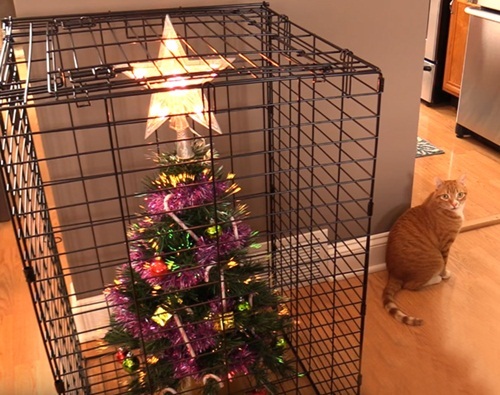 Cách để bảo vệ cây thông Noel của bạn khỏi “giặc”… chó mèo