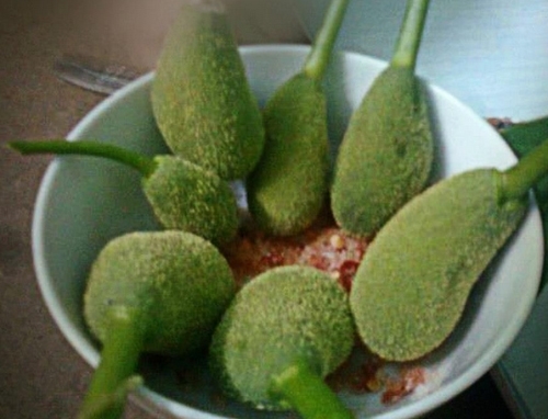 “Tuổi thơ dữ dội” với những loại trái cây dân giã