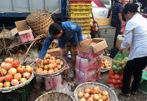 15 năm buôn hoa quả Trung Quốc và cái giá phải trả
