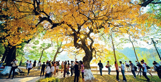 5 địa điểm chụp ảnh lãng mạn ở Hà Nội thu hút giới trẻ nhất