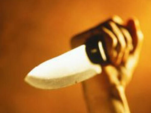 Tranh giành nữ tiếp viên, 