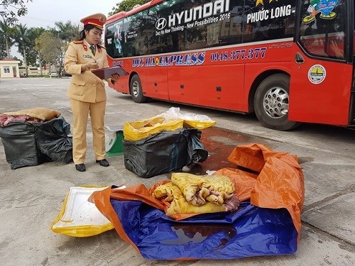 Gần 3 tạ thịt không rõ nguồn gốc chuẩn bị thành ‘đặc sản’ heo rừng