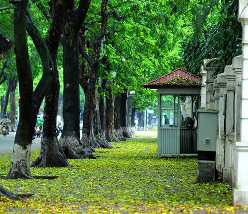 Top 5 địa điểm chụp ảnh mùa thu ở Hà Nội đẹp đến nao lòng