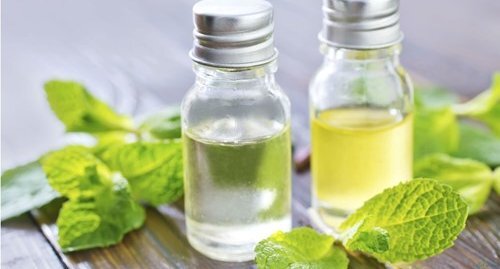 5 Mẹo chữa ho người lớn cực nhanh bạn không thể bỏ qua