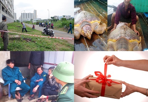 Tin tức thời sự 24h mới nhất ngày 29/12