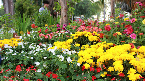 Dự báo thời tiết hôm nay 31/12: Bắc Bộ rét, Nam Bộ ngày nắng