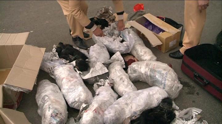 Bắt giữ 3 đối tượng buôn bán, vận chuyển trái phép động vật hoang dã