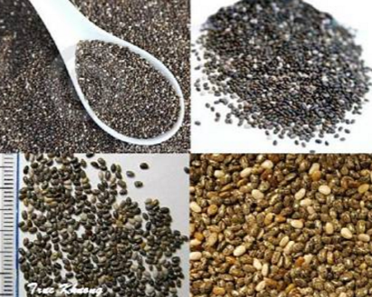 Lợi ích  không ngờ và cách sử dụng hạt chia 