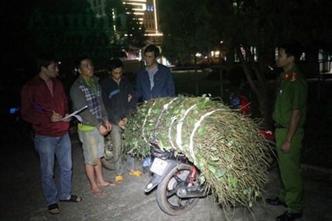 Tin tức pháp luật hôm nay ngày 5/1 - ĐS&PL Online