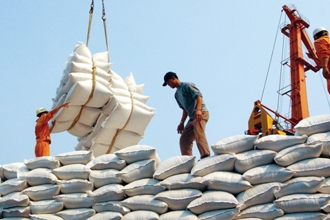 Tiếp tục “tìm cơ hội” cho hạt gạo Việt Nam