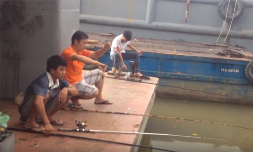 Clip bộ 3
