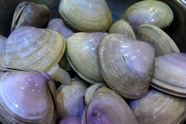 Quảng Ninh: Dân hốt hoảng vì thủy sản chuyển màu bất thường