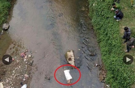 Tin tức pháp luật mới nhất ngày 10/2 - ĐS&PL Online