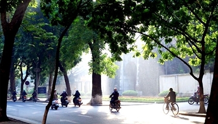 Dự báo thời tiết ngày mai 16/2: Trời rét, nhiệt độ có nơi xuống dưới 11 độ C