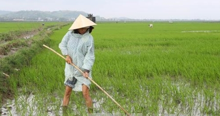 Dự báo thời tiết hôm nay 19/2: Cuối tuần nắng ấm