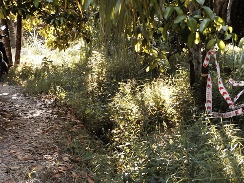 Khởi tố vụ nam sinh sát hại bé gái 10 tuổi chấn động Vĩnh Long