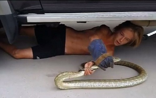 Thiếu niên bắt rắn 