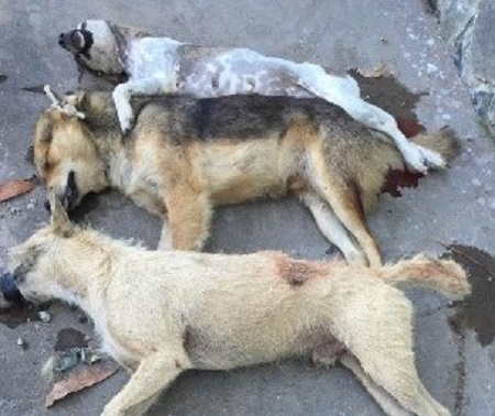 Tin tức pháp luật mới nhất ngày 28/2