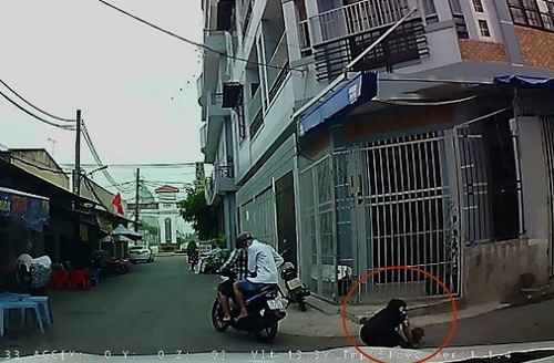 Clip: Bị cướp giật dây chuyền, người phụ nữ ngã nhào xuống đường