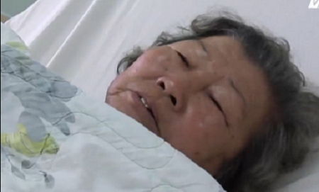 Rắn độc ồ ạt bò ra ngoài hang tấn công người