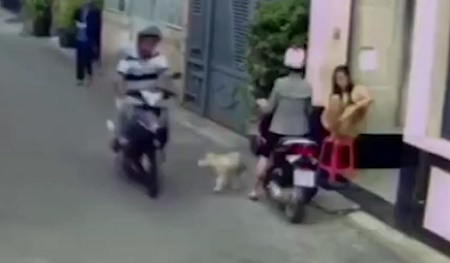 Ngang nhiên bắt trộm chó ngay trước mặt cô gái