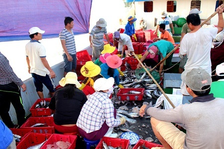 Ngư dân trúng 