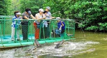 Câu cá sấu đầm lầy ở TP.HCM