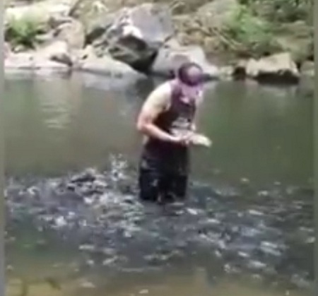 Dân mạng thích thú clip chàng trai chơi đùa với cá như bạn thân