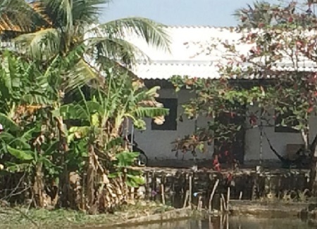 Người chồng sát hại vợ rồi tự sát bất thành bị khởi tố