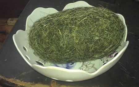 Phát hiện vật  nghi 