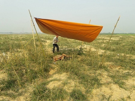 Đi chăn bò, phát hiện thi thể đang phân hủy