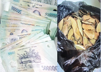 Hà Nội: Dùng gỗ thái mỏng lừa bệnh nhân ung thư mua với giá cắt 