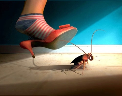 Vì sao không nên giết gián bằng dép?