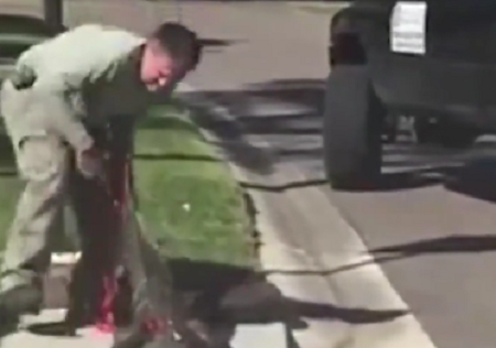 Người đàn ông tay không lôi xềnh xệch cá sấu dài 3m kẹt dưới cống